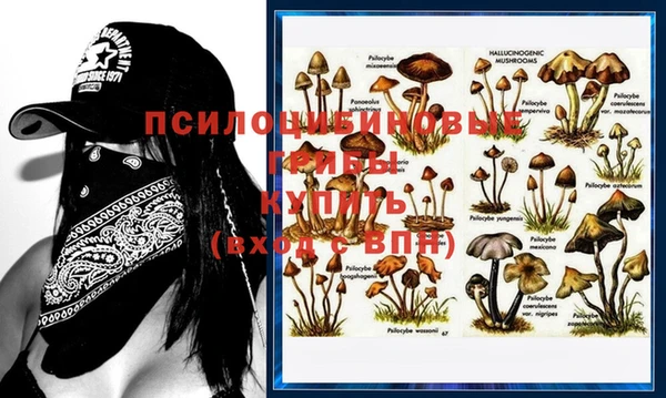 мескалин Абдулино