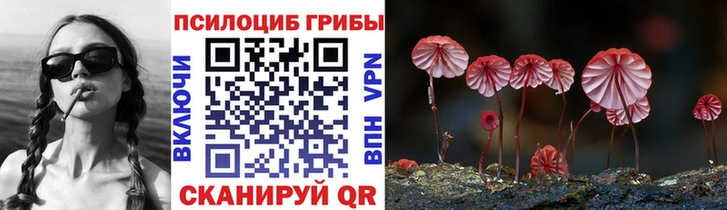 кракен онион  Щучье  Галлюциногенные грибы прущие грибы 